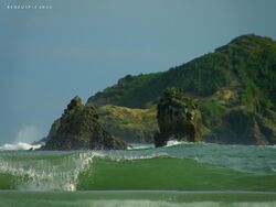 Green sea (5470187808).jpg
