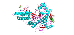 HYAL-1 Structure.png