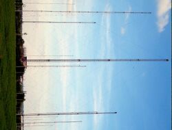 Hillmorton radio masts.jpg