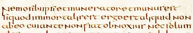 File:Latin semi-uncial in the Codex Basilicanus St. Petri.jpg