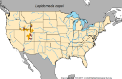 Lepidomeda copei map.png