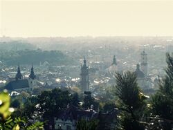 View from the Lion Mountain to the historic center of Lviv