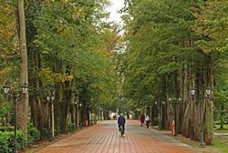 Mohtasham park in Rasht.jpg