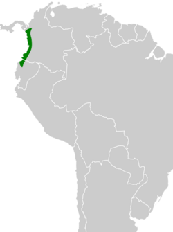 Nyctiphrynus rosenbergi map.svg