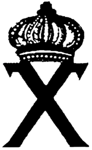 Organization X logo.png