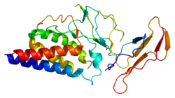 Protein IL2RA PDB 1z92.png