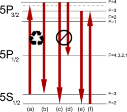 Rubidium85 laser cooling.png