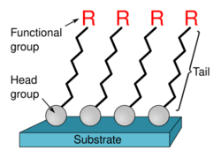 Self-assembled monolayer.svg