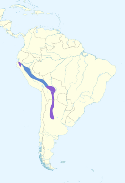 Turdus nigriceps map.svg