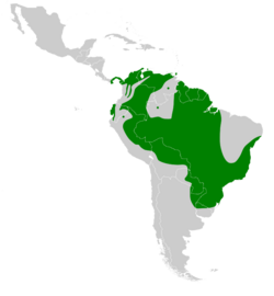 Anthracothorax nigricollis map.svg