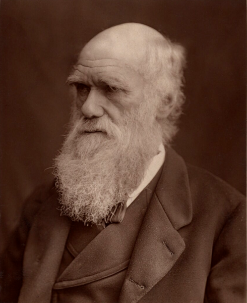 File:Charles Darwin 1877 (cropped).png