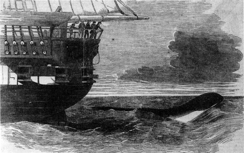 File:Daedalus sea serpent 1848.jpg