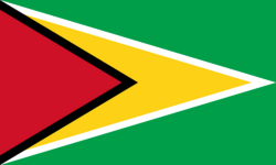 Flag of Guyana.svg