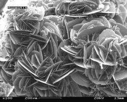 Hematite in Scanning Electron Microscope, magnification 100x.JPG