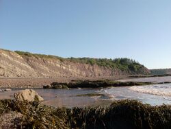 Joggins Fossil Cliffs, Joggins, Nova Scotia 01.jpg