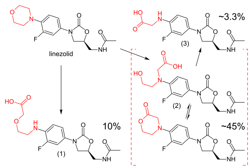 File:Linezolid metabolism.svg