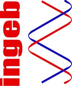 Logo-Ingeb.jpg
