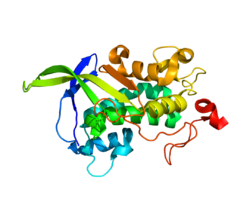 Protein NPC1 PDB 3GKH.png