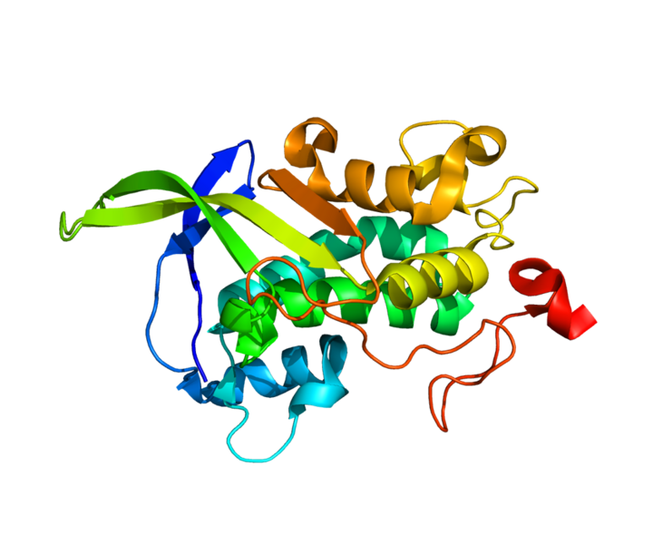 File:Protein NPC1 PDB 3GKH.png