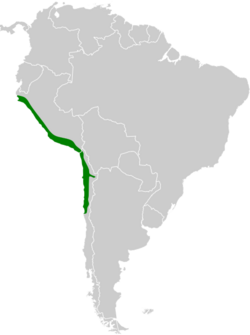 Rhodopis vesper map.svg