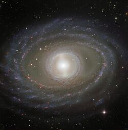 Ribbons and pearls NGC 1398.jpg