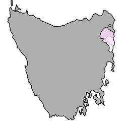 Tasmanipatus distribution map.jpg