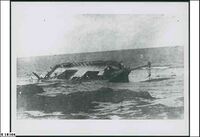 Wreck of the Post Boy, Arno Bay, circa 1920.jpg