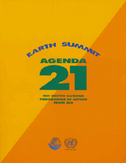 Agenda 21 Cover.gif