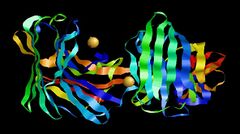 Aspergilloglutamic peptidase.jpg