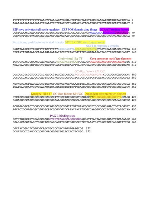Promoter region of CCDC138 with labeled transcription factor binding sites