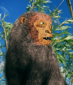 Catopithecus2020.png