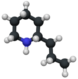 Coniine-3D.png