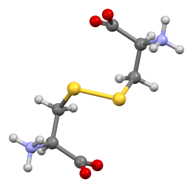 File:Cystine-from-xtal-Mercury-3D-balls-thin.png