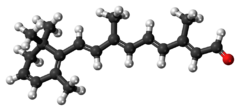 Ball-and-stick model of the dehydroretinal molecule