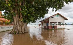 Flooded building and tree trunk in the muddy water of the Mekong in Si Phan Don, Laos, September 2019.jpg