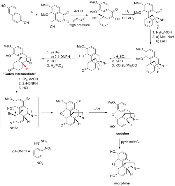 The Bates synthesis