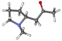 Ball-and-stick model of hygrine molecule