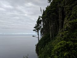Looking North from Tow Hill, Haida Gwaii.jpg