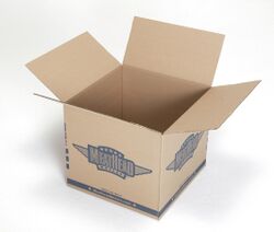 An empty cardboard box with the top closing flaps open