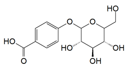 P-hydoxybenzoic acid glucoside.png