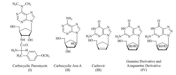 Prepared Carbocyclic Nucleoside Analogs by Using Vince Lactam