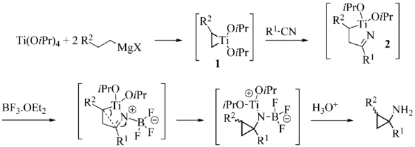 Szymoniak variation reaction mechanism