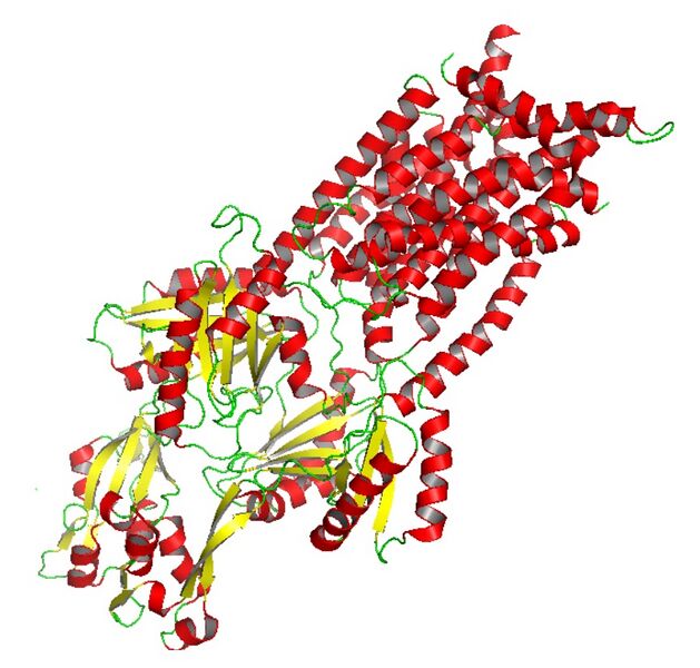 File:RND protein CusA.jpg