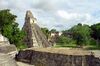 Tikal Giaguaro.jpg