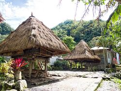 Traditional stilt houses in Bangaan of the Ifugao people.jpg