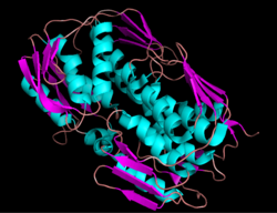 EPSP synthase cartoon.PNG