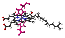 Haem-a-in-cyctochrome-c-oxidase-PDB-1OCR-3D-balls-C.png
