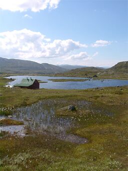 Hardangervidda.jpg