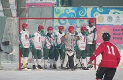 Hungary bandy team vs Canada.JPG