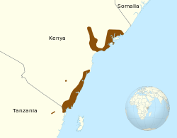 Kenya coast galago.svg